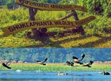 शुक्लाफाँटा राष्ट्रिय निकुञ्ज क्षेत्रमा जलपक्षी गणना सुरु